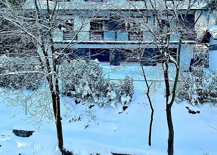 W Naszym Stylu A فيلة *